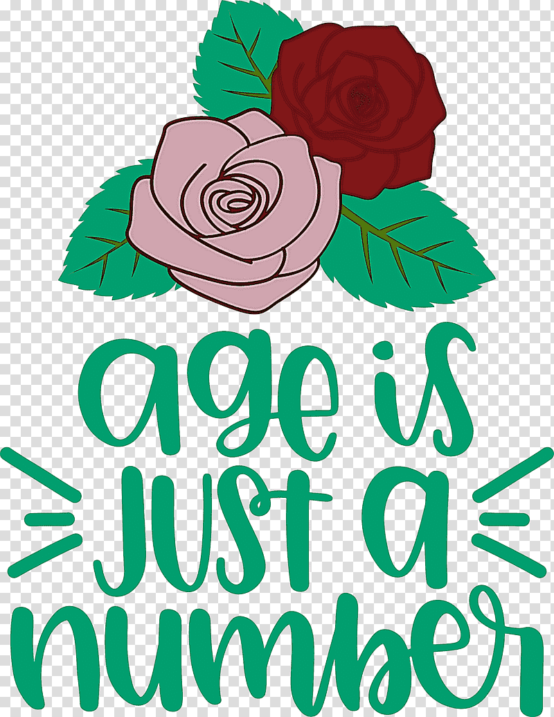 Birthday Age Is Just A Number, Birthday
, Floral Design, Rose, Garden Roses, Cut Flowers, Meter transparent background PNG clipart