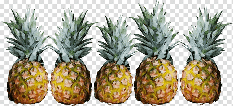 Pineapple, Watercolor, Paint, Wet Ink, Tropical Fruit, Cut Pineapple, Exotic Fruit transparent background PNG clipart