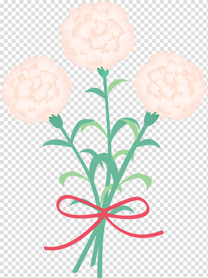 Mothers Day Carnation Mothers Day flower, Plant, Cut Flowers, Plant Stem, Tagetes, Hydrangea, Wildflower, Bouquet transparent background PNG clipart