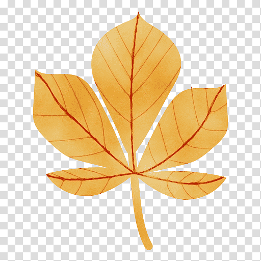 leaf maple leaf / m symmetry biology mathematics, Watercolor, Paint, Wet Ink, Maple Leaf M, Science, Geometry transparent background PNG clipart