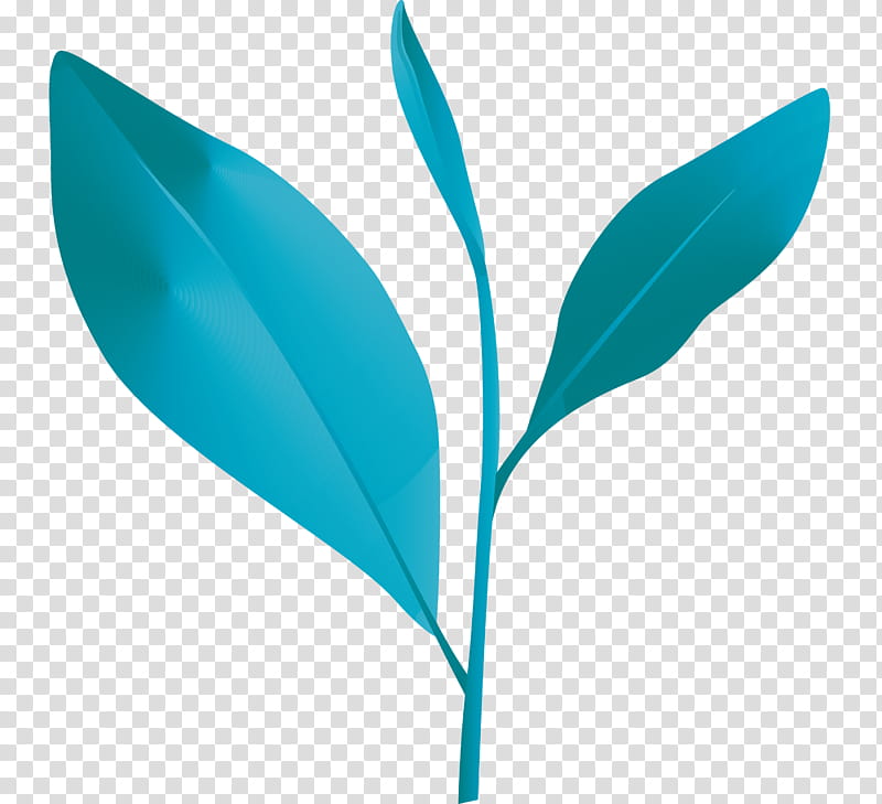 tea leaves leaf spring, Spring
, Plant, Flower, Grass, Logo, Eucalyptus transparent background PNG clipart