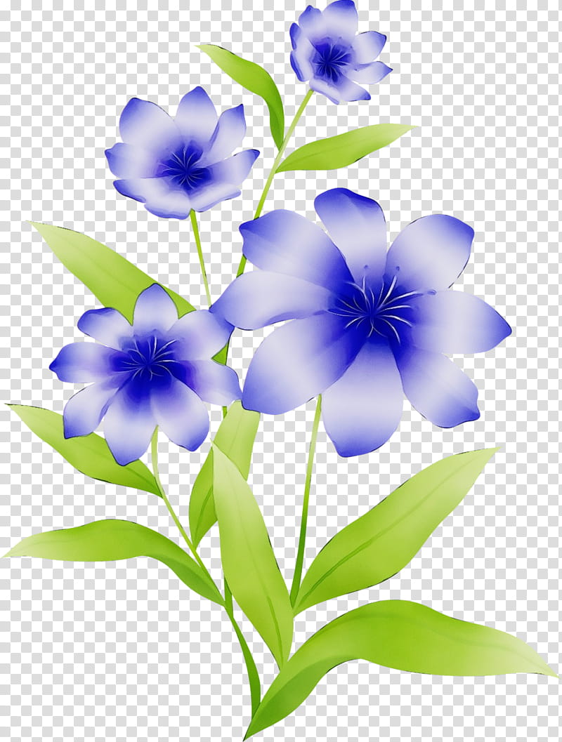 flower blue plant petal violet, Watercolor, Paint, Wet Ink, Periwinkle, Gentiana, Balloon Flower, Gentian Family transparent background PNG clipart