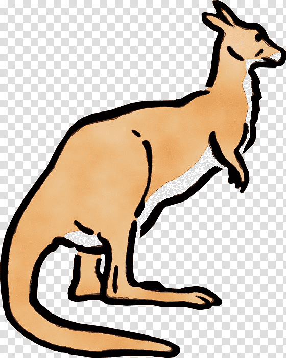 macropods red fox kangaroo marsupials tail, Watercolor, Paint, Wet Ink, Meter transparent background PNG clipart