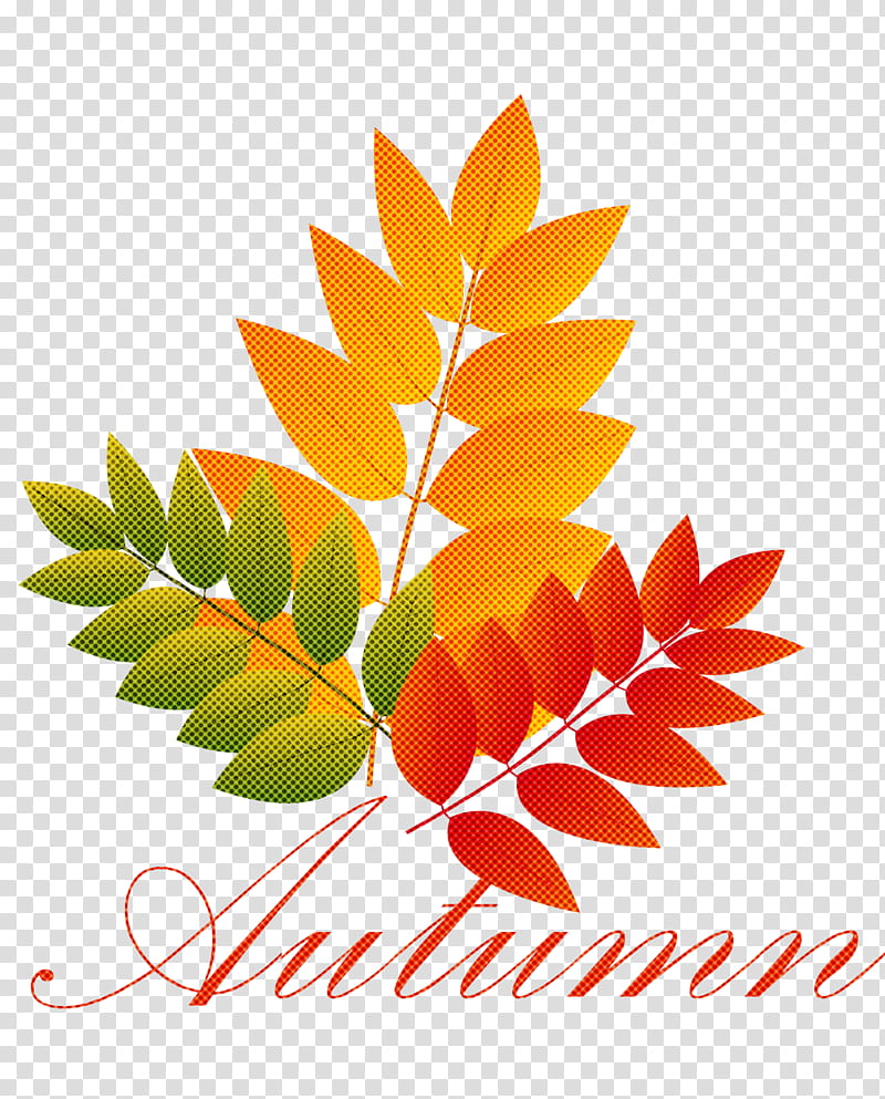 Hello Autumn Welcome Autumn Hello Fall, Welcome Fall, Cartoon, Drawing, Watercolor Painting, Line Art, Television, Maple Leaf transparent background PNG clipart