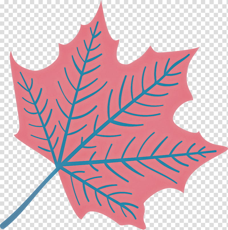 Autumn Leaf Colourful Foliage Colorful Leaves, COLORFUL LEAF, Plant Stem, Autumn Leaf Color, Red Maple, Maple Leaf, Deciduous, Tree transparent background PNG clipart