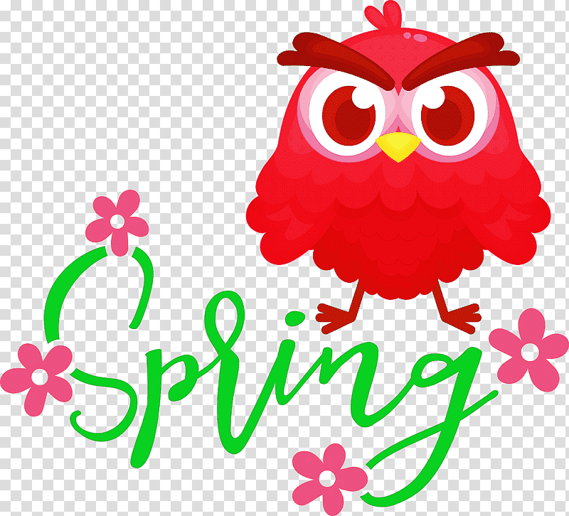 Spring Bird, Spring
, Owls, Birds, Eastern Screech Owl, Snowy Owl, Barred Owl transparent background PNG clipart
