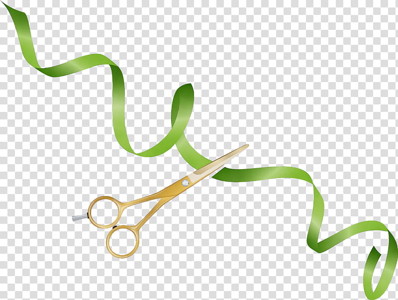 plant stem font line lawn plants, Scissors Ribbons, Grand Opening, Watercolor, Paint, Wet Ink, Science, Plant Structure transparent background PNG clipart