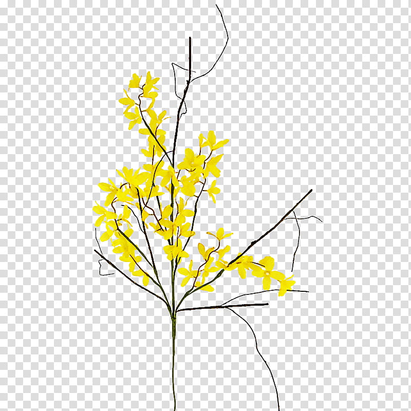 yellow plant flower branch twig, Leaf, Plant Stem, Tree, Cut Flowers, Goldenrod, Rapeseed, Pedicel transparent background PNG clipart
