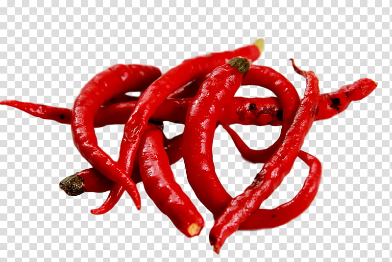 bird's eye chili piquillo pepper chile de árbol tabasco pepper pasilla, Birds Eye Chili, Cayenne Pepper, Malagueta Pepper, Chili Pepper, Bell Pepper, Peppers, Sweet And Chili Peppers transparent background PNG clipart