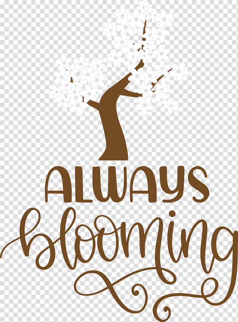 Always Blooming Spring Blooming, Spring
, Logo, Calligraphy, Line, Meter, Mathematics transparent background PNG clipart