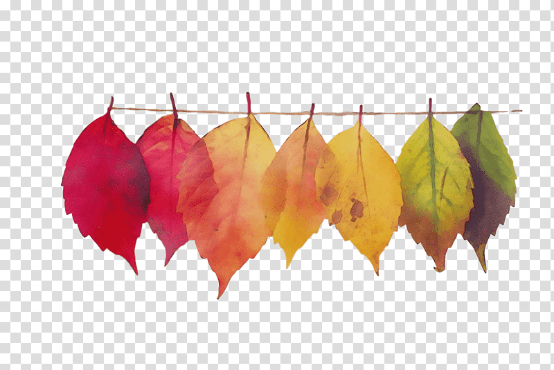 Save the date, Watercolor, Paint, Wet Ink, Autumn, Autumn Leaf Color, Postcard transparent background PNG clipart