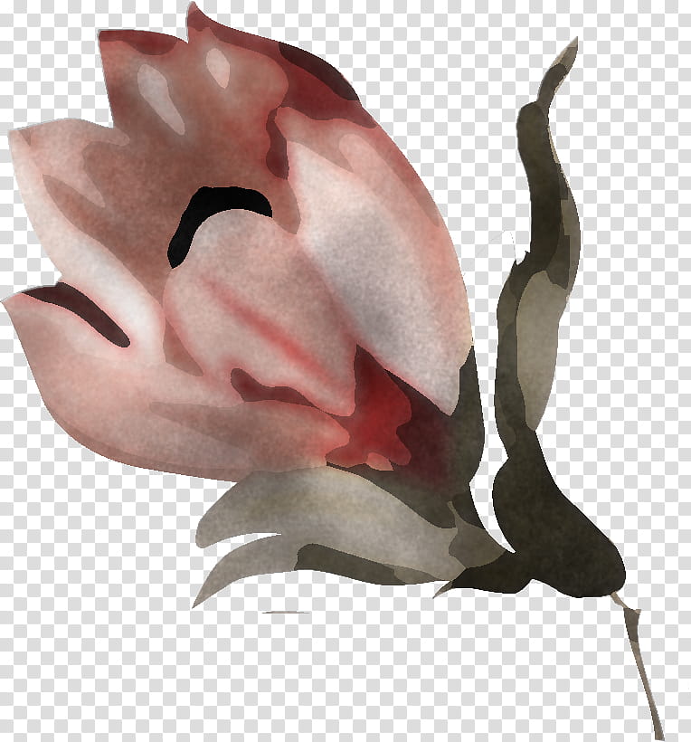 leaf plant flower tree petal, Drawing Flower, Watercolor Flower, Floral Drawing, Anthurium, Tulip, Magnolia, Perennial Plant transparent background PNG clipart
