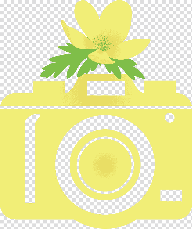 camera flower, Floral Design, Yellow, Meter, Symbol, Line, Sunflower transparent background PNG clipart