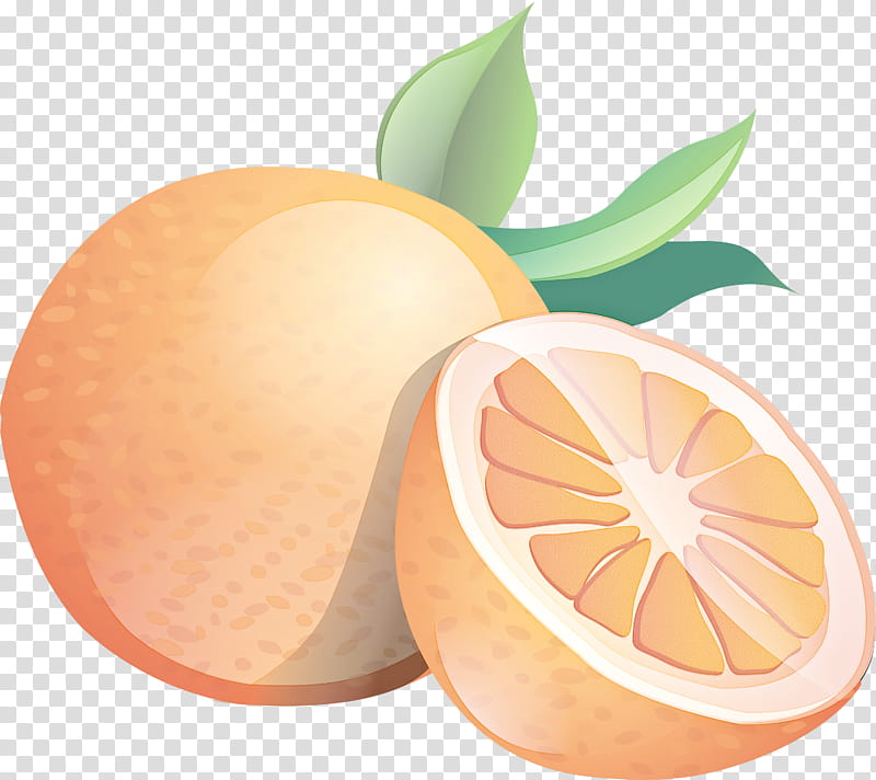 Orange, Vegetarian Cuisine, Lemon, Yuzu, Pomelo, Clementine, Orange Juice, Fruit transparent background PNG clipart