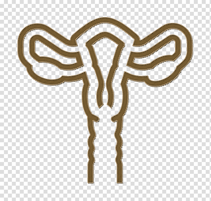 Uterus icon Medical Set icon, Female Reproductive System, Fallopian Tube, Ovary, Human Body, Pelvic Inflammatory Disease, Gynaecology transparent background PNG clipart