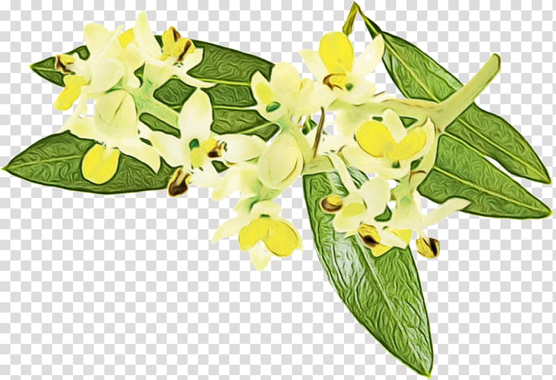 Floral design, Watercolor, Paint, Wet Ink, Cut Flowers, Moth Orchids, Yellow transparent background PNG clipart