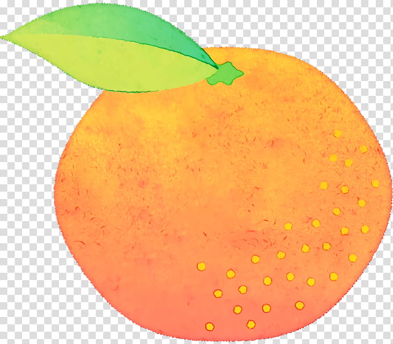 citrus apple apple, Watercolor, Paint, Wet Ink transparent background PNG clipart