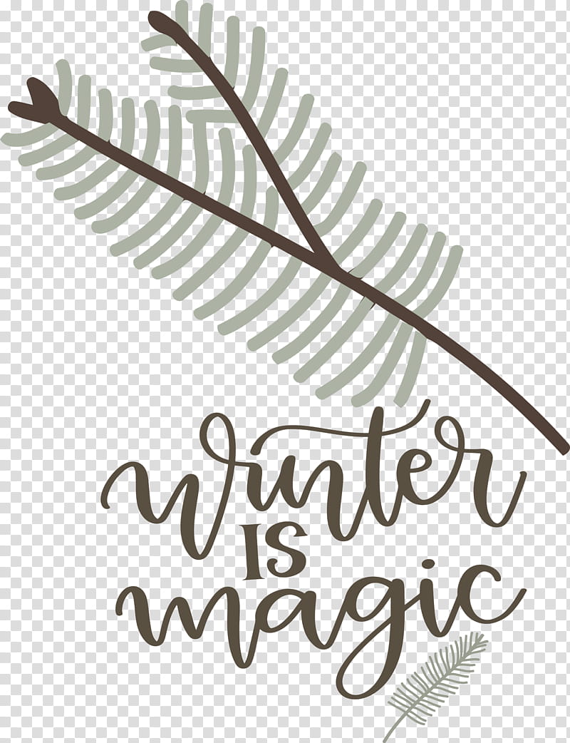 Winter Is Magic Hello Winter Winter, Winter
, Leaf, Calligraphy, Line, Tree, Text, Plants transparent background PNG clipart