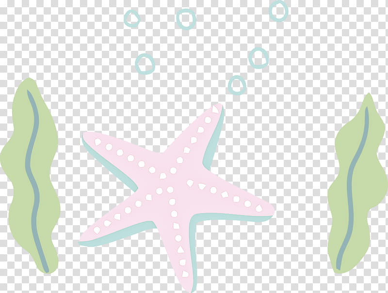 starfish meter line font science, Biology, Geometry transparent background PNG clipart