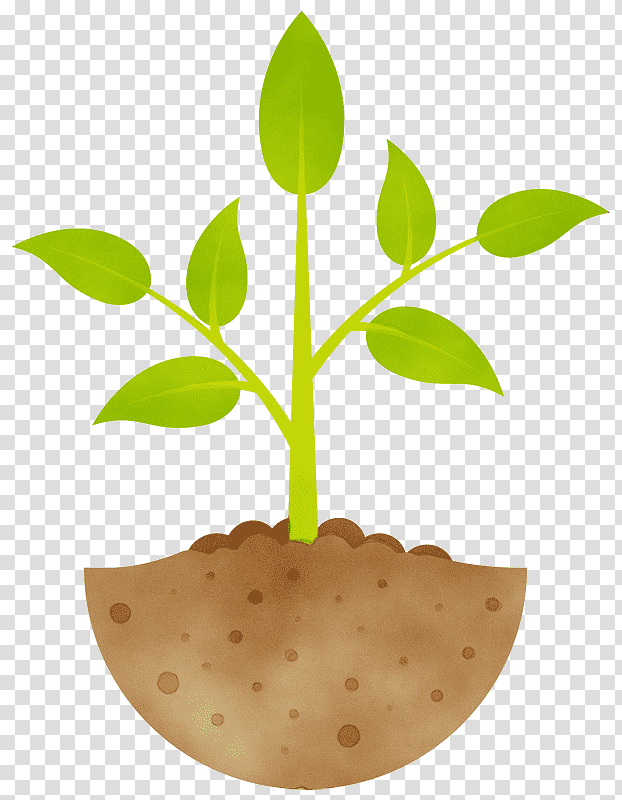 cartoon seedling flowerpot plant development sowing, Watercolor, Paint, Wet Ink, Cartoon, Leaf, Tree Seed transparent background PNG clipart