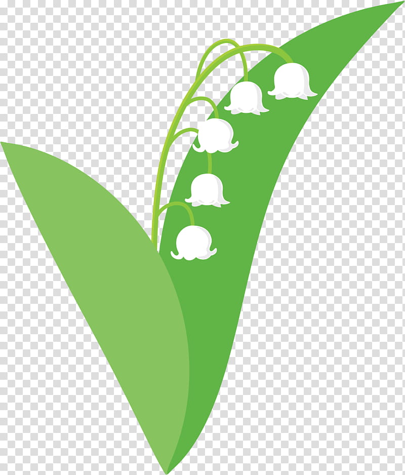 Lily Bell flower, Leaf, Green, Logo, Plant transparent background PNG clipart