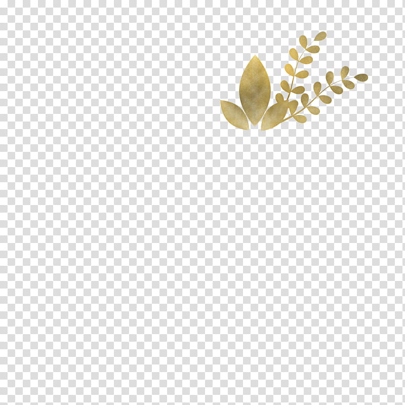 meter font commodity transparent background PNG clipart
