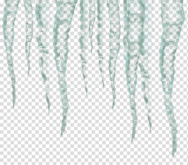 Birch Tree, Icicle, Ice, Plant, Stalactite, Canoe Birch transparent background PNG clipart