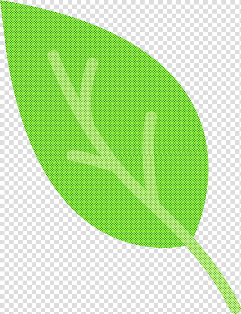 leaf green meter font line, Cartoon Leaf, Cute Leaf, Abstract Leaf, Simple Leaf, Plant Structure, Science, Plants transparent background PNG clipart