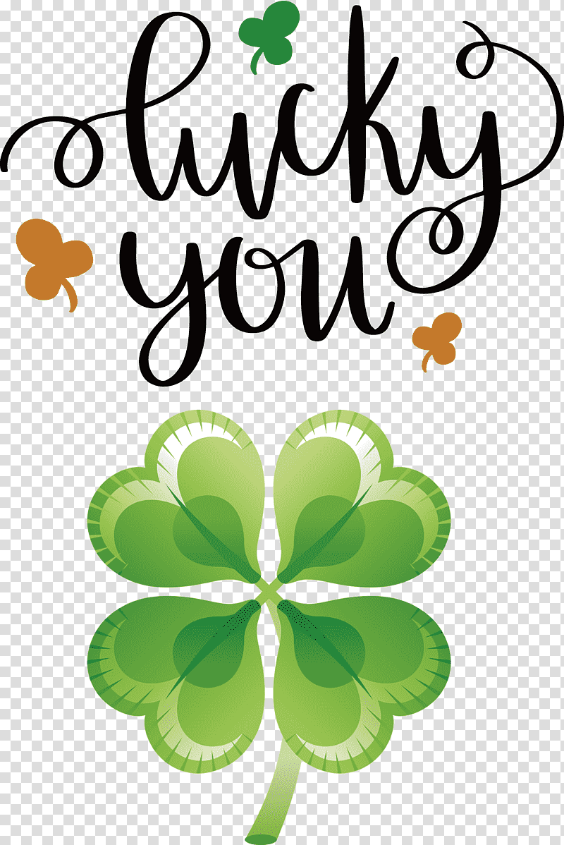 Lucky You Lucky St Patricks Day, Saint Patricks Day, Royaltyfree, Leprechaun transparent background PNG clipart