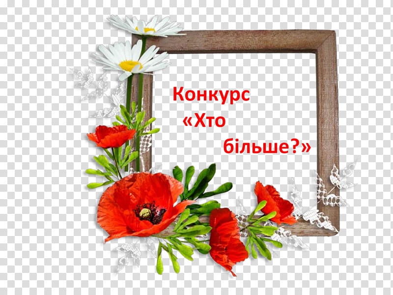Birthday Frame, Frames, Flower, Poppy, Flower Frame, Flower Frame, Film Frame, Birthday Frame transparent background PNG clipart