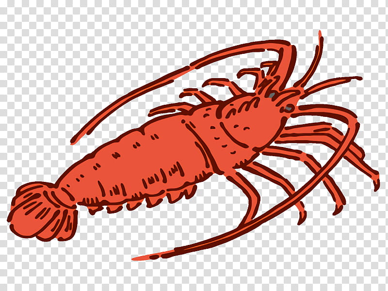 american lobster european lobster spiny lobster dungeness crab crayfish, Crabs, Crab M, Pest, Orange Sa, Lobsters, Homarus transparent background PNG clipart