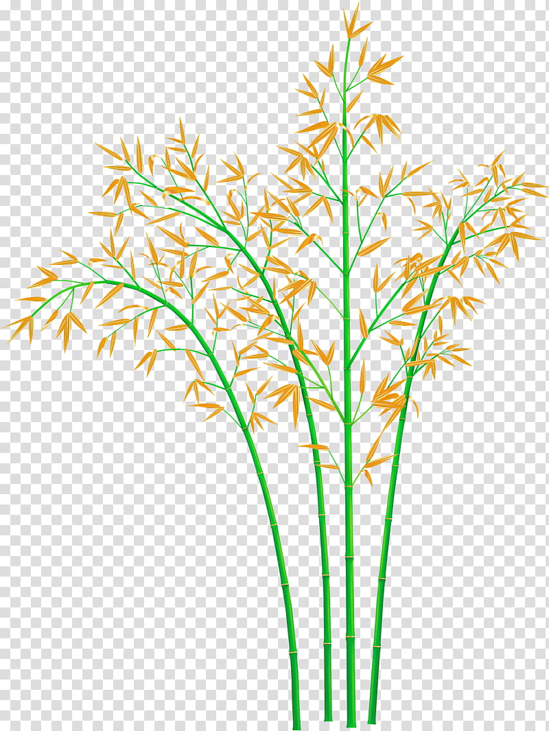 bamboo leaf, Grass, Plant, Plant Stem, Grass Family, Flower, Pedicel, Elymus Repens transparent background PNG clipart
