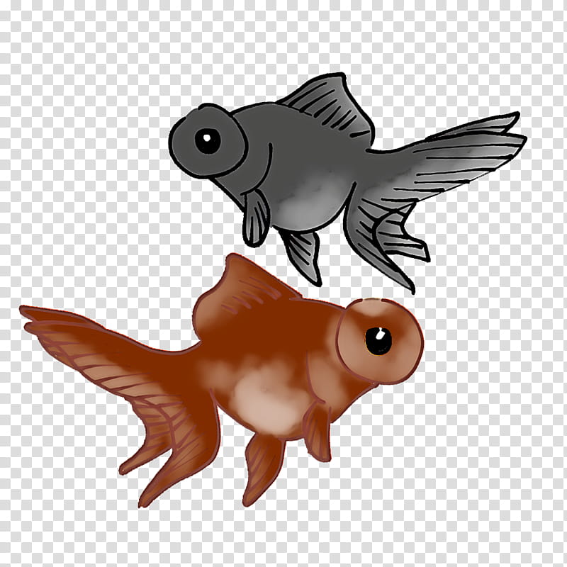 beak birds goldfish fish ray-finned fishes, Rayfinned Fishes, Snout, Guppy, Fish Fin, Batoids, Water Bird, Aquarium transparent background PNG clipart