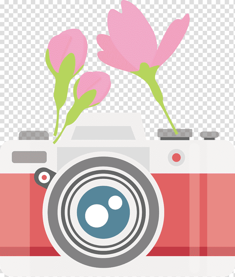 Camera flower, Floral Design, Petal, Meter, Line, Plant, Biology transparent background PNG clipart