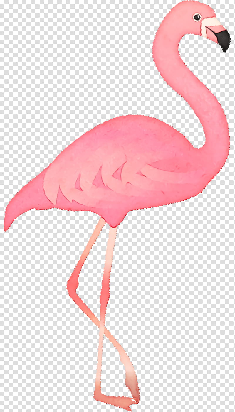 Feather, Watercolor, Paint, Wet Ink, Flamingo M, Beak, Pink M transparent background PNG clipart