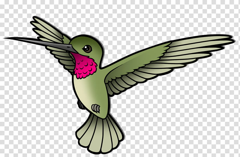 Hummingbird Drawing, Parrot, Animal, Beak, Digital Art, Feather, Painting, Rufous Hummingbird transparent background PNG clipart
