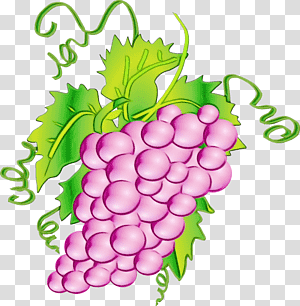 Web banner, Watercolor, Paint, Wet Ink, Eucharist, Grape, First Communion transparent background PNG clipart thumbnail