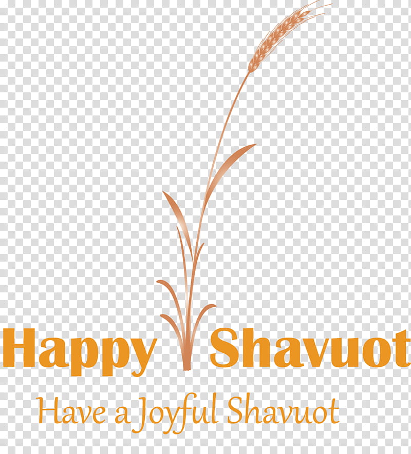 Happy Shavuot Shavuot Shovuos, Text, Grass Family, Logo, Line, Plant transparent background PNG clipart