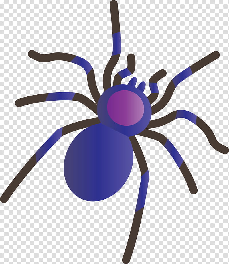 insect arachnid purple line, Cartoon Spider transparent background PNG clipart