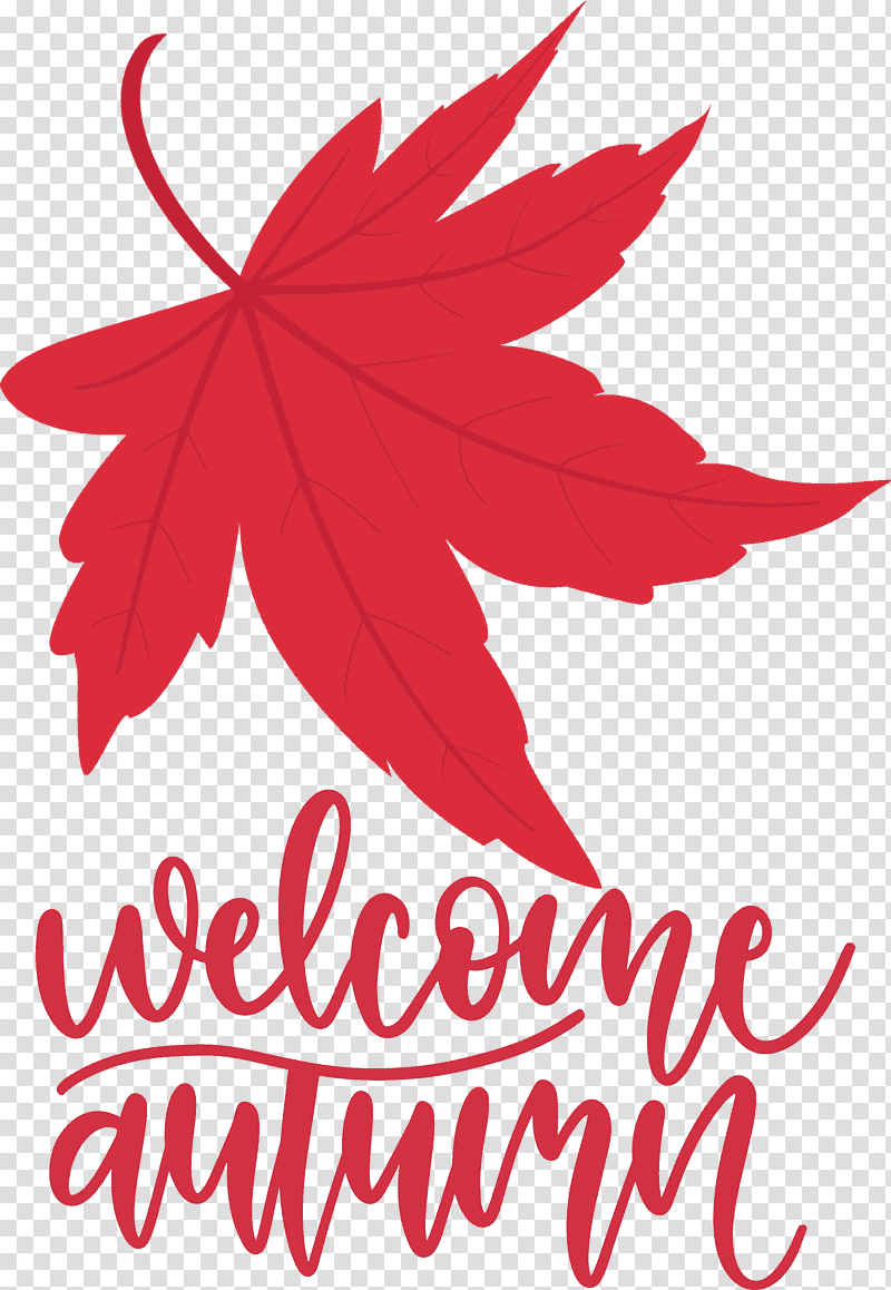 Welcome Autumn Autumn, Leaf, Maple Leaf, Flower, Tree, Meter, Line transparent background PNG clipart