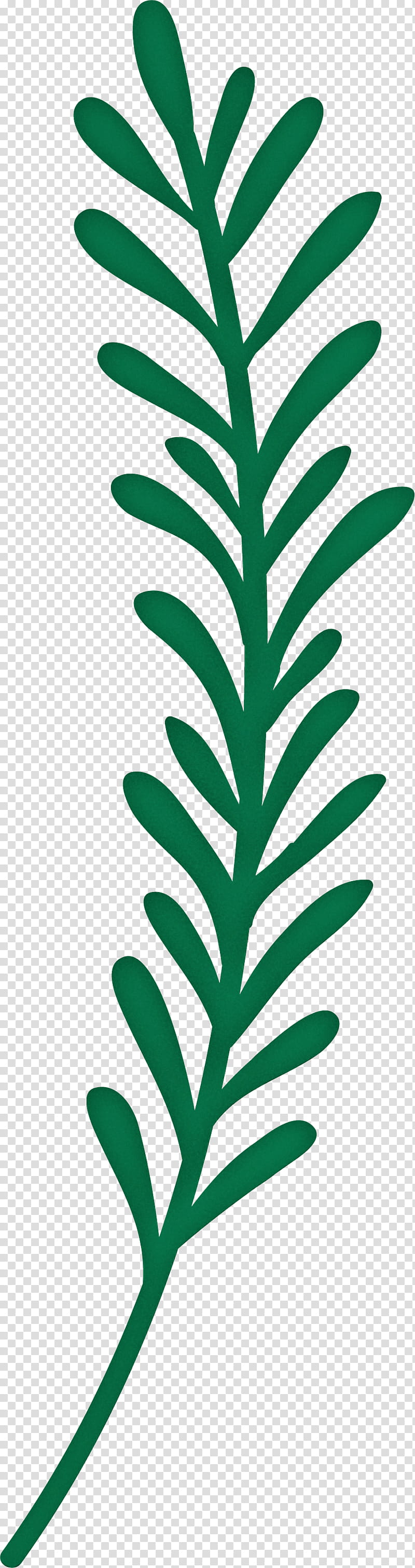 Leaf, synthesis, Plant Stem, synthetic Pigment, Pillow, Softball Pillow Cushion, Biological Pigment, Transpiration transparent background PNG clipart