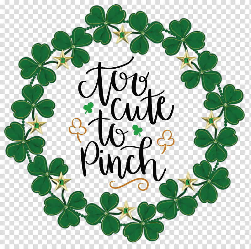 Too cute_to Pinch St Patricks Day, Saint Patricks Day, National ShamrockFest, Holiday, Leprechaun, March 17, Public Holiday transparent background PNG clipart