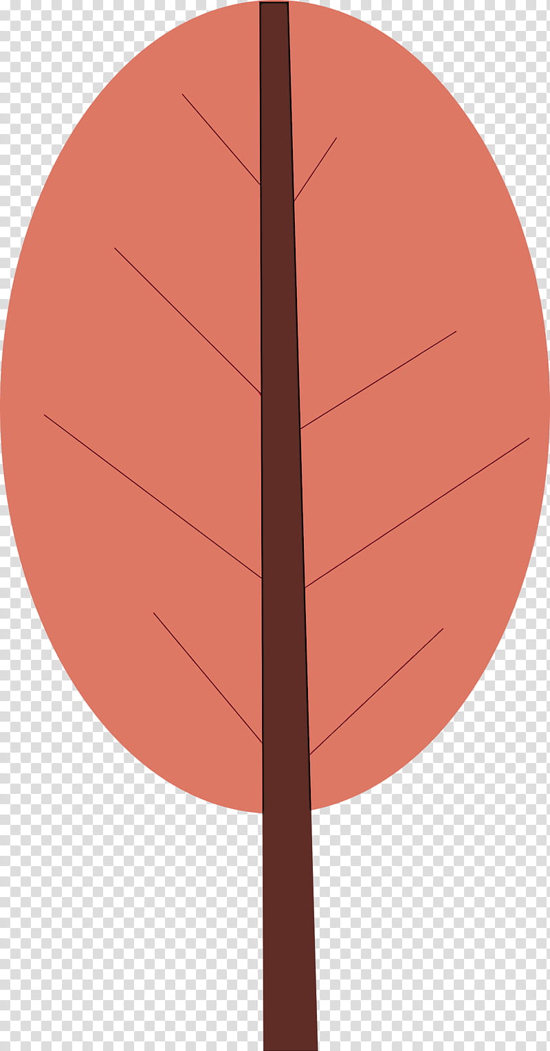 angle leaf line meter mathematics, Cartoon Tree, Abstract Tree, Science, Plants, Biology, Geometry, Plant Structure transparent background PNG clipart
