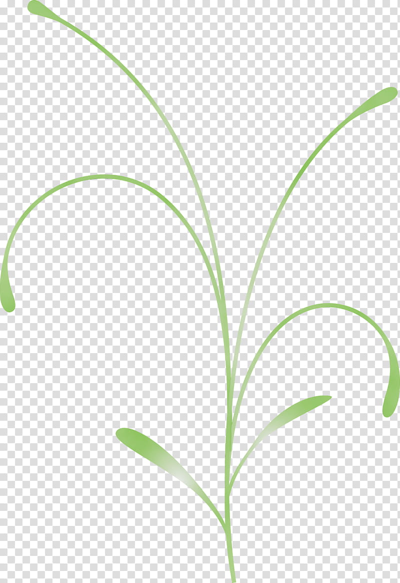 leaf grass plant flower grass family, Easter Flower, Spring Flower, Watercolor, Paint, Wet Ink, Terrestrial Plant, Plant Stem transparent background PNG clipart