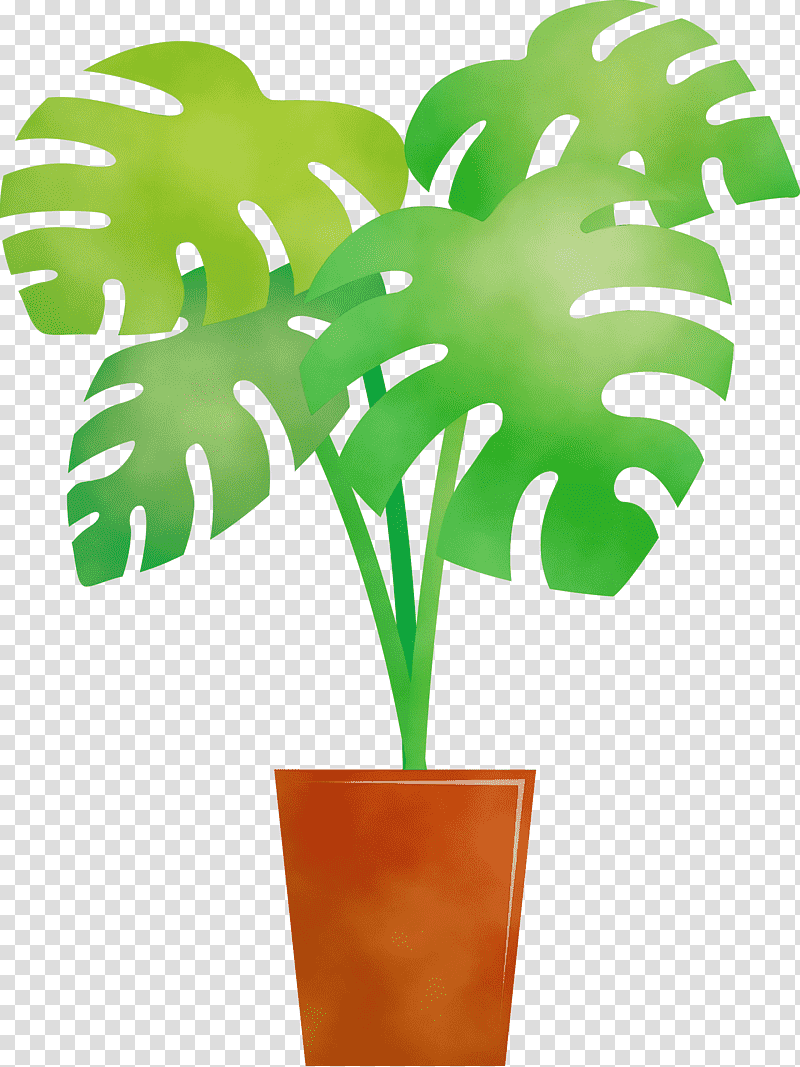 Palm trees, Monstera, Tropical Leaf, Watercolor, Paint, Wet Ink, Plant Stem transparent background PNG clipart