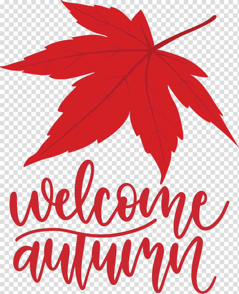 Welcome Autumn Autumn, Leaf, Maple Leaf, Tree, Flower, Line, Meter transparent background PNG clipart