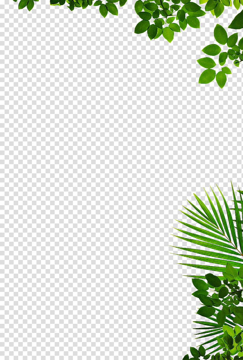 Green Leaf, Topiary, Tree, Branch, Gift, Do It Yourself, Video, Shrub transparent background PNG clipart