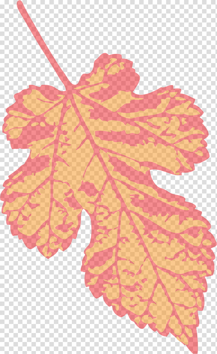Maple leaf, Plant Stem, Petal, Flower, Twig, synthesis, Tree, Oak transparent background PNG clipart
