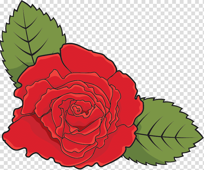 one flower one rose valentines day, Love, Garden Roses, Red, Plant, Rose Family, Pink transparent background PNG clipart