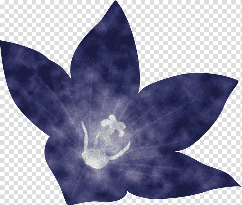 balloon flower, Cobalt Blue, Petal, Bellflower Family, Lavender transparent background PNG clipart